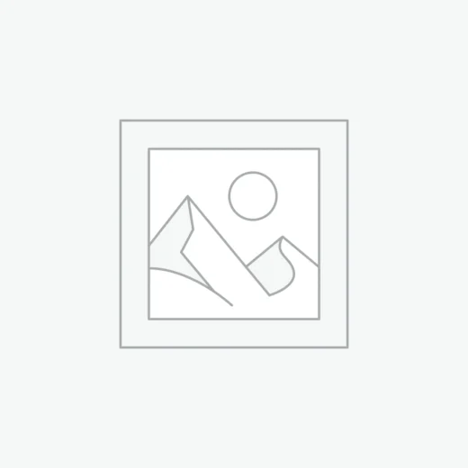 إكسسوارات السيارات